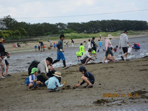 富津海岸潮干狩りとスパ三日月入浴 ランチバイキング バスツアー添乗報告 調布市勤労者互助会